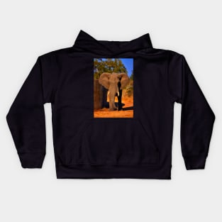 Kruger Elephant Kids Hoodie